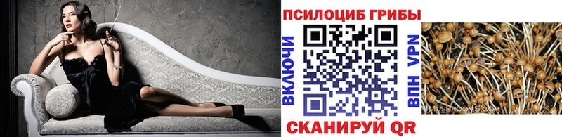 Псилоцибиновые грибы Cubensis  МЕГА ссылка  Торопец  купить наркоту 